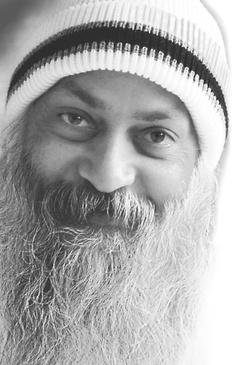 What is an Osho Chair?